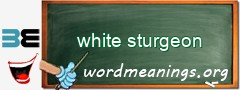 WordMeaning blackboard for white sturgeon